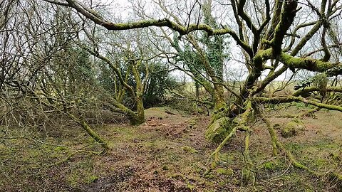 GoPro speedlapse. Dartmoor 26th March 2023