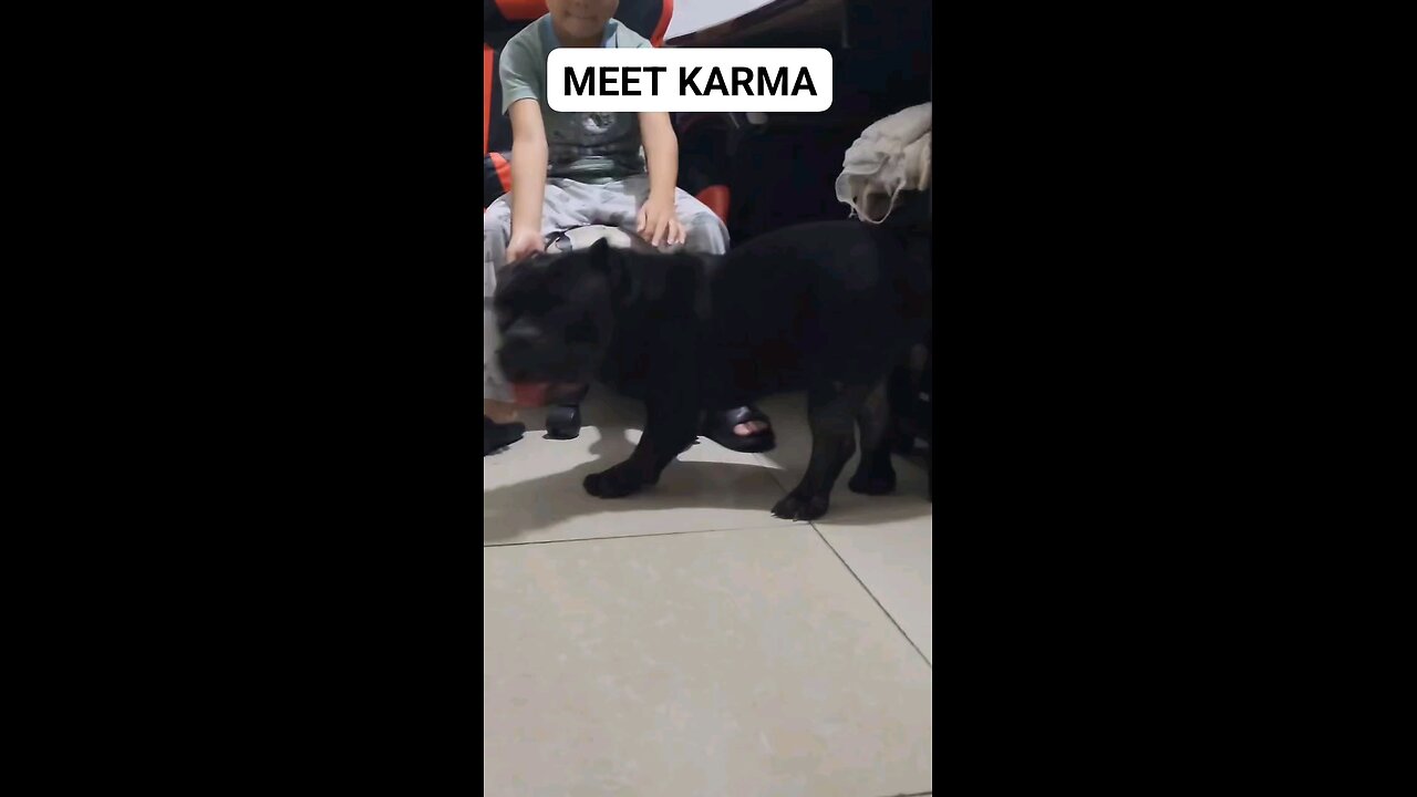 MEET KARMA