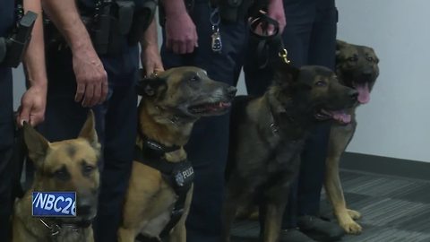 Green Bay Police add to K9 unit