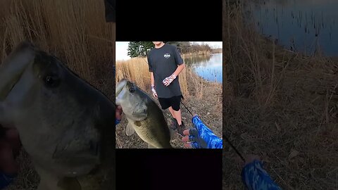 Fishing Fails #shorts