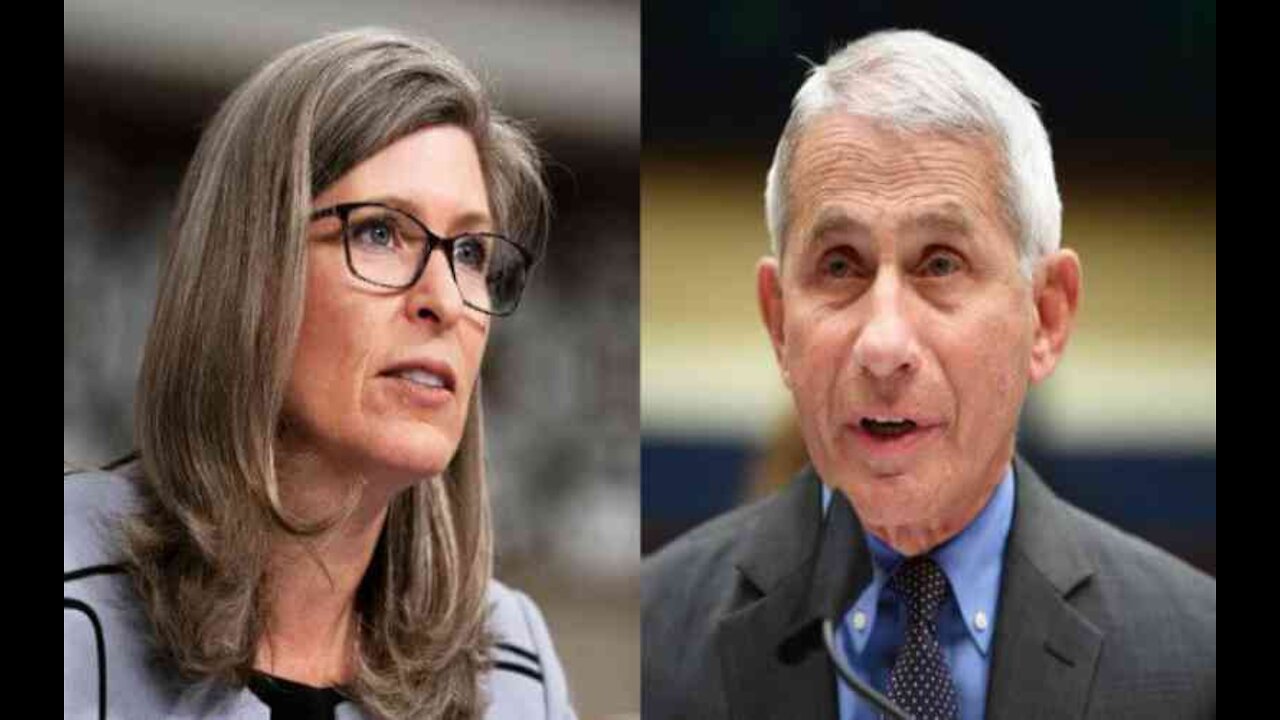 GOP Senator Introduces ‘FAUCI Act’ to Ban US Funding for Gain-of-Function Research in China