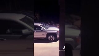 Moose Fight! 2 Bulls Street Fight!!
