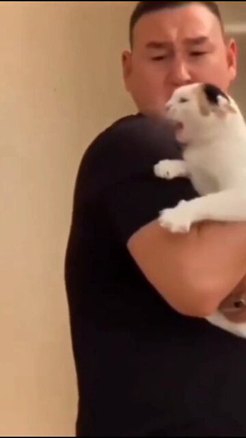 When your cat got your back