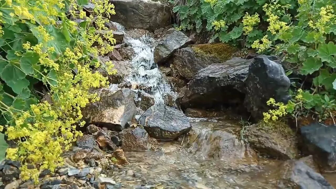 Yaylanın Eşsiz Güzelliklerinden Manzaralar 3