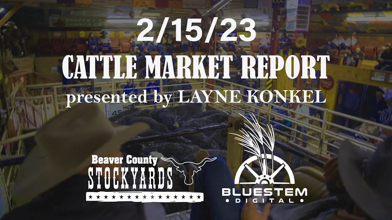 2/15/23 Beaver County Stockyards Cattle Market Report