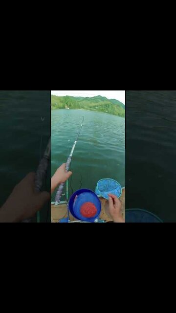 Amazing River Fishing 🐟 #shorts