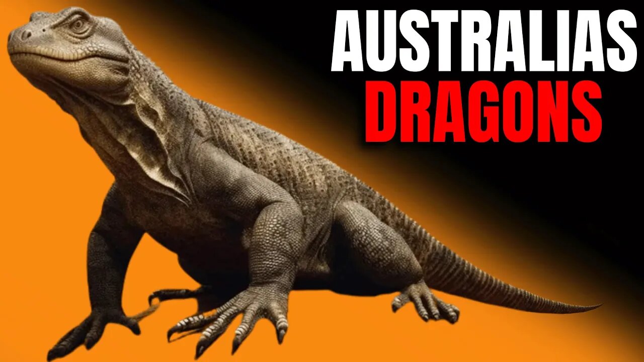 Australias Dragons