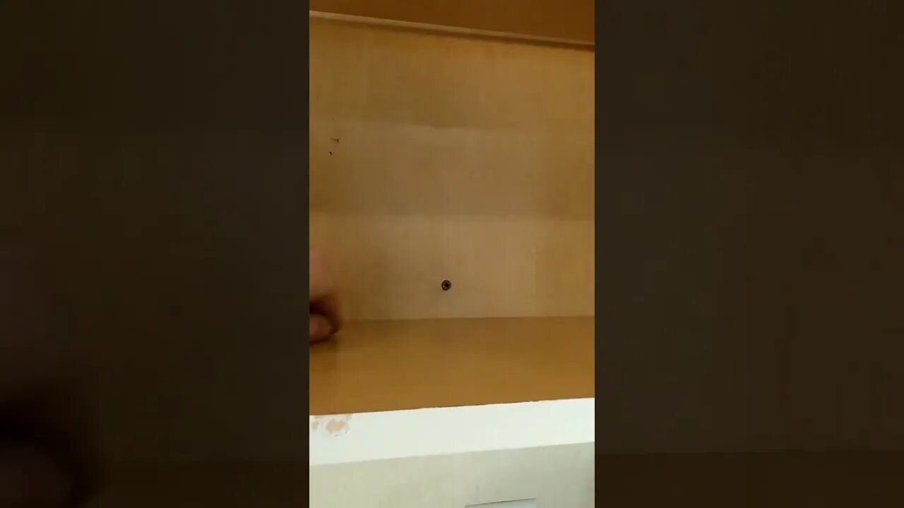 Drywall screws should NOT be used to mount cabinets.