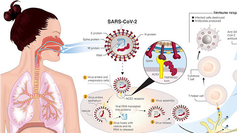 Why Vaccinated Are Super Spreaders COVID-19