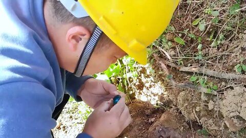 The latest discovery of a huge crystal mine