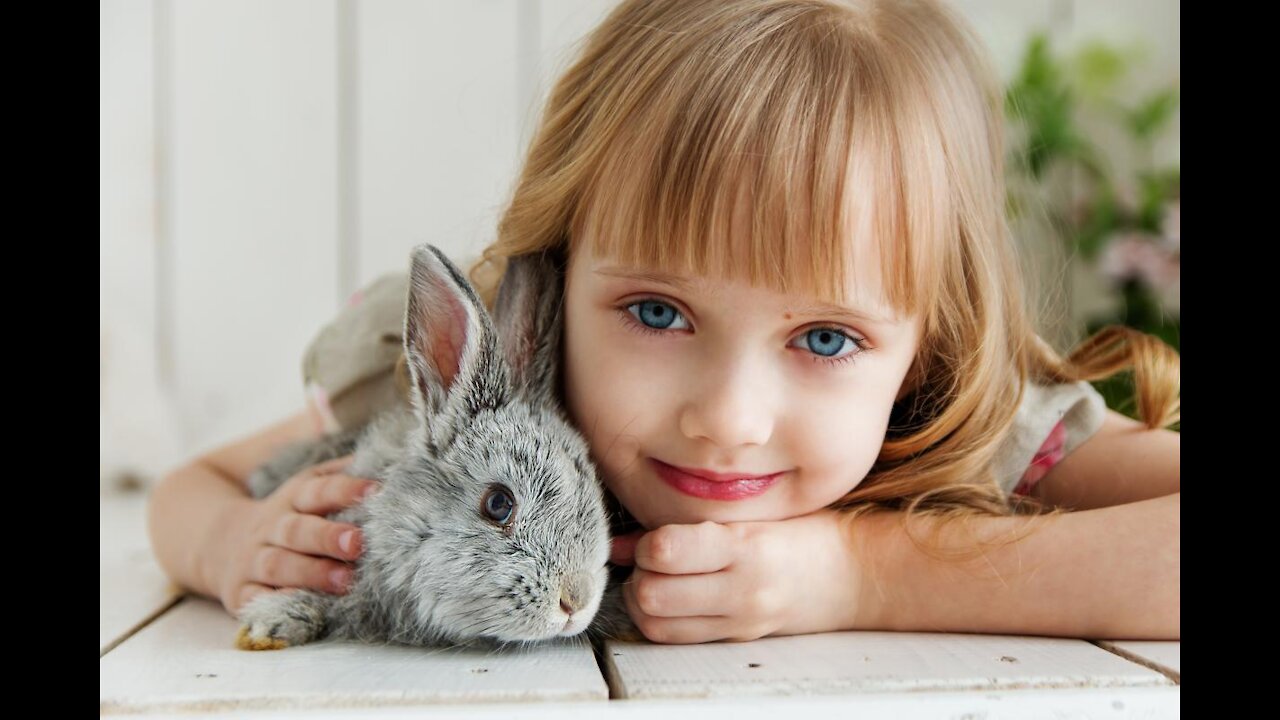 How to Litter Train a Rabbit
