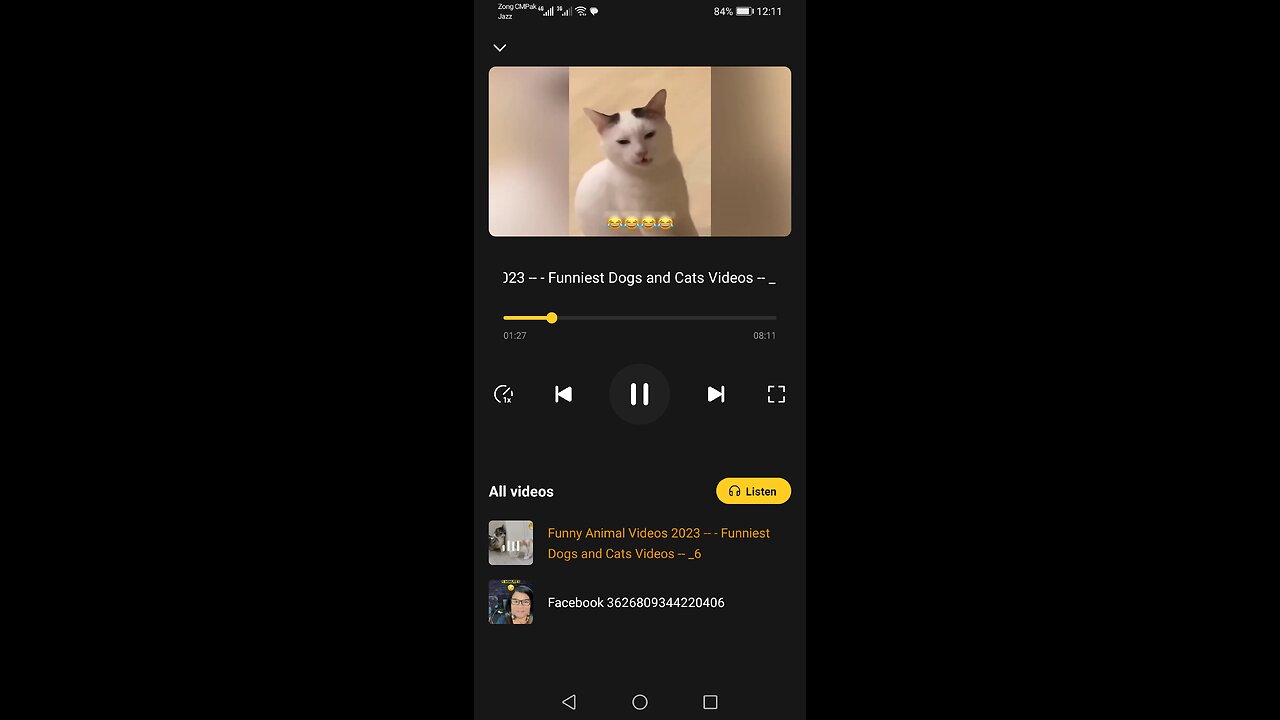 Cat playing videos