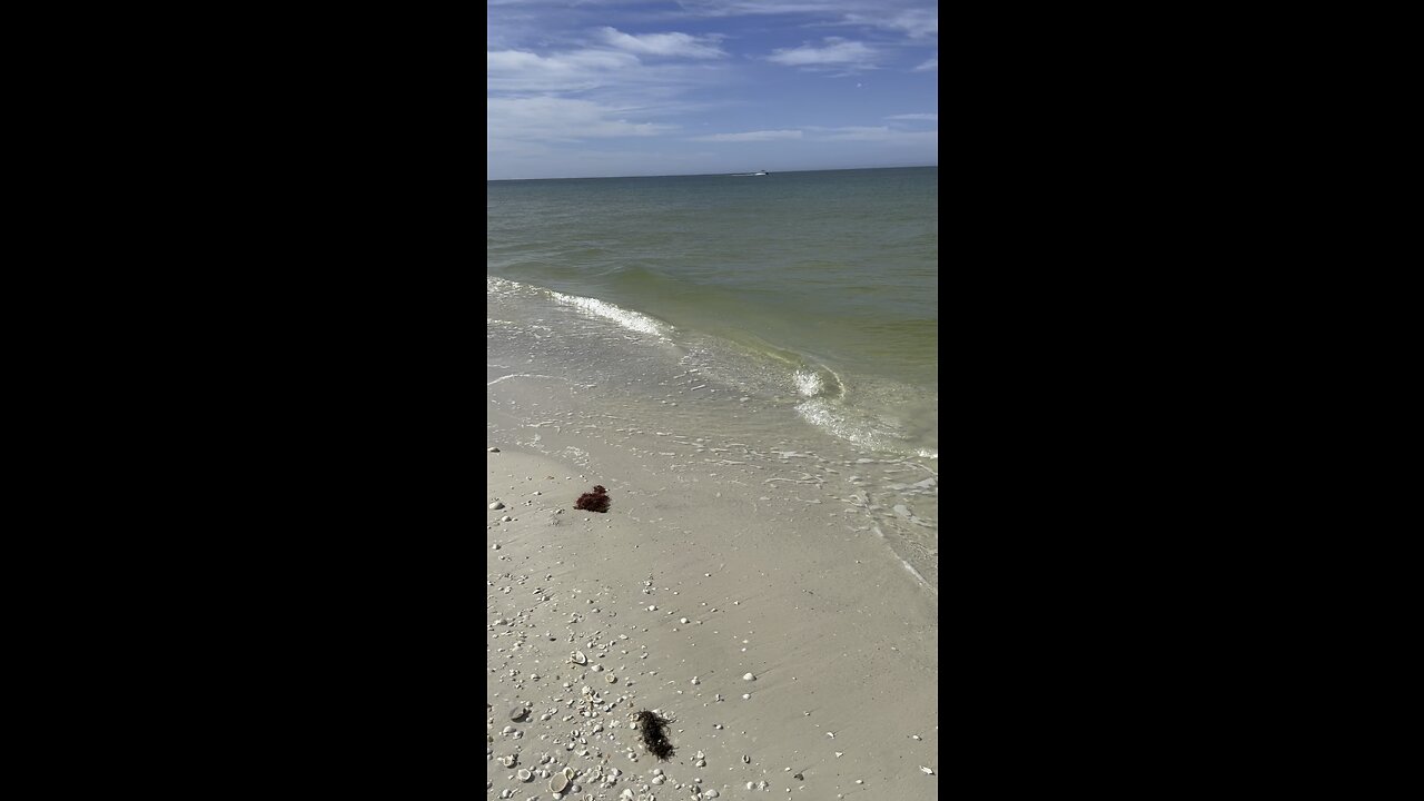 Tigertail Beach Marco Island, FL #FYP #TigertailBeach #MarcoIsland #ILiveWhereYouVacation #4K