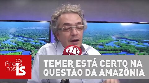 Temer está certo na questão da Amazônia, diz Tognolli
