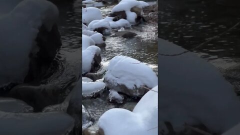 Water stream with natural sound at Eagle Falls Trailhead at Emerald Bay State Park #laketahoe #short