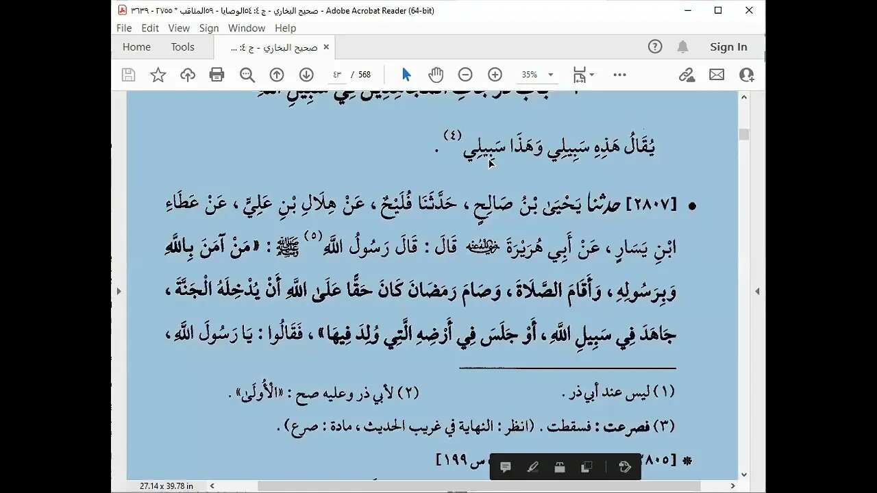 61 المجلس 61 صحيح البخاري قراءة الشيخ محمد بشير كتاب الجهاد إلى أول باب من ينكب في سبيل الله