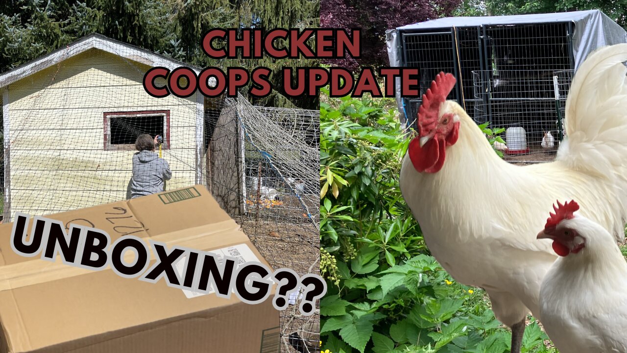 Chicken coop update and unboxing our solar chicken door