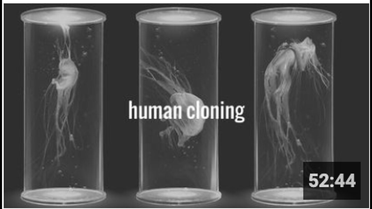 Human Cloning