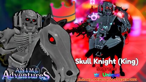 SURREAL O TIME DESSE SORTUDO COM SKULL KNIGHT (KING) DE UNIQUE NO ANIME ADVENTURES!!