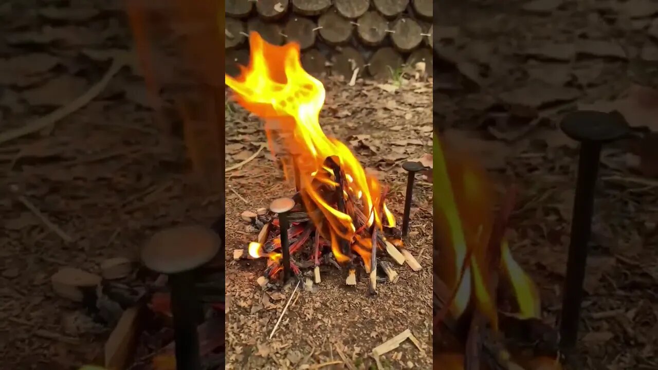 survival cooking 🍳