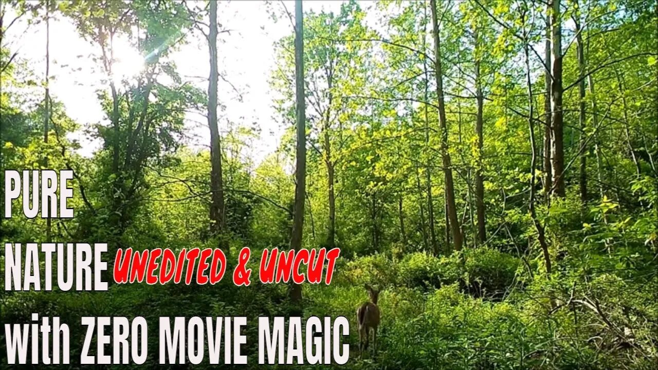 PURE NATURE UNCUT: The River Bottom 2022 With ZERO Movie Magic