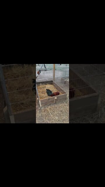 New Work @LivingWaterFarms247