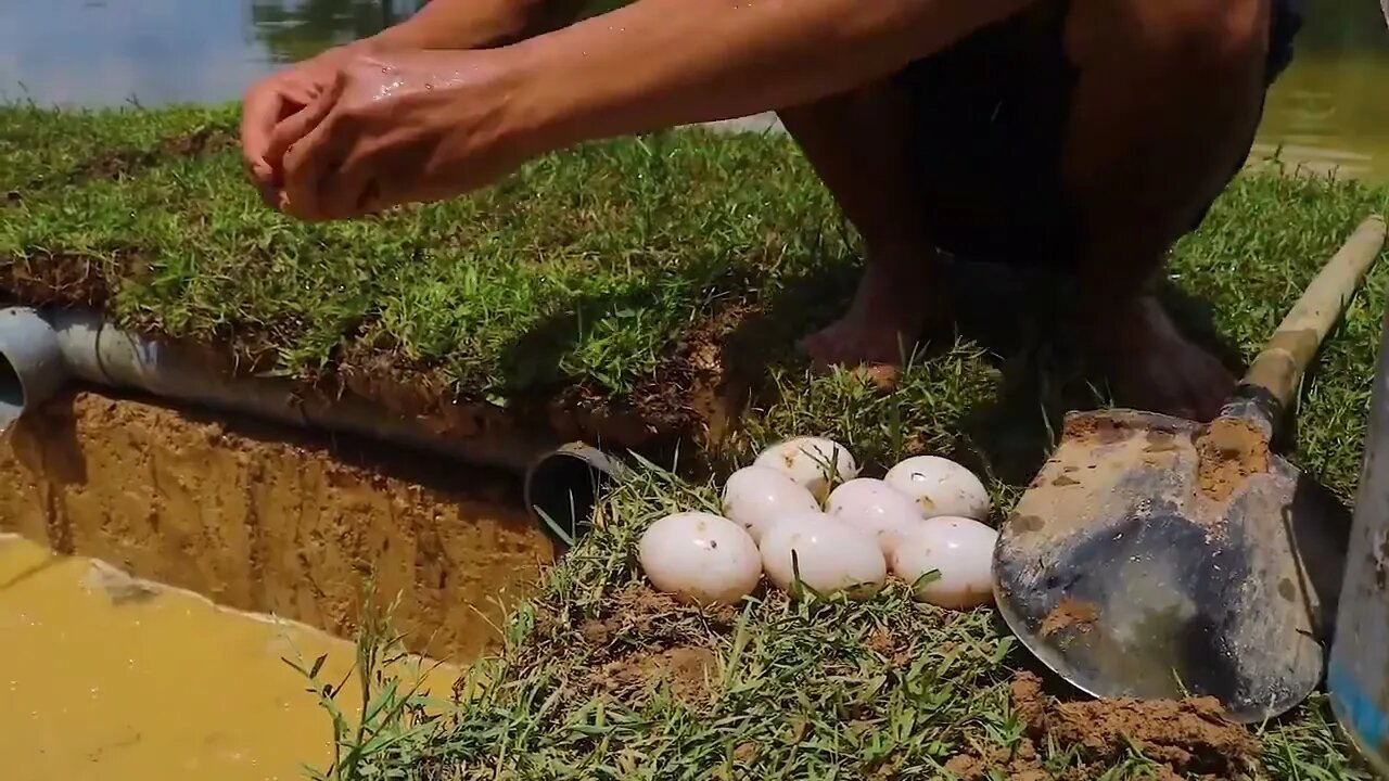 Making Trap To Catch Catfish In The Secret Hole With PVC Pipe & Chicken Eggs16 18