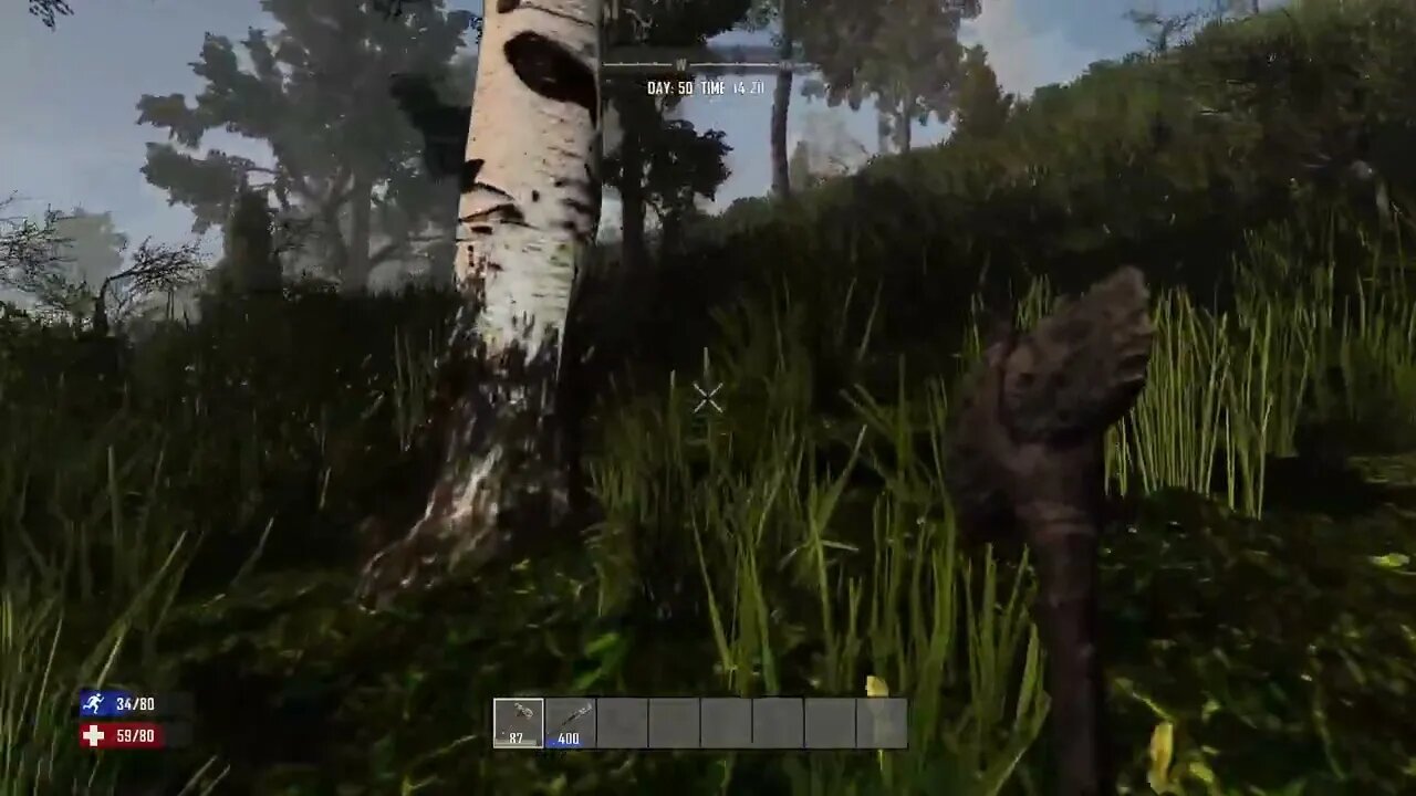 7 Days to Die_ A perilous journey