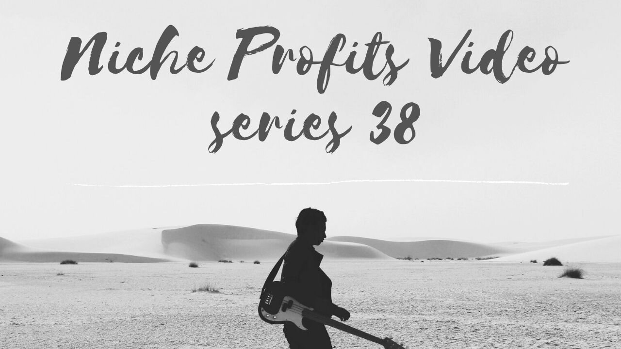 Niche Profits Video Series 38