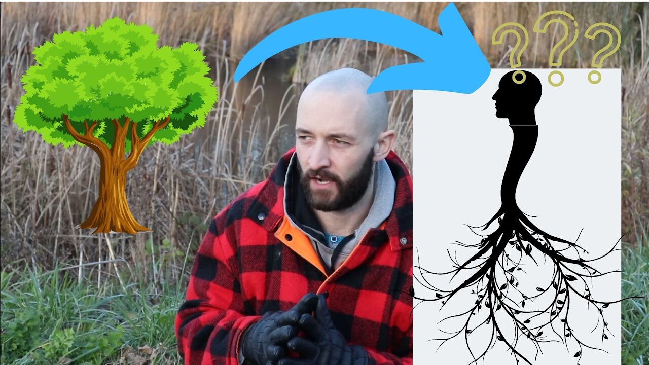 Are We Upside Down Trees??