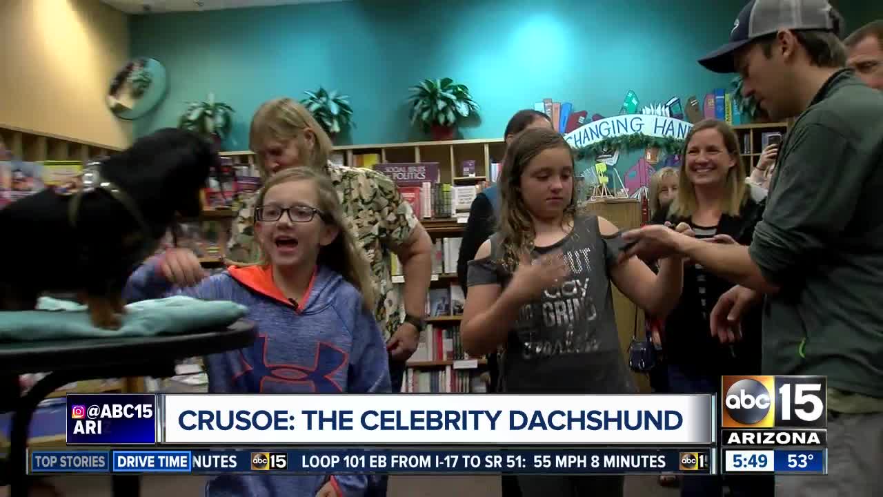 Crusoe: The Celebrity Dachshund comes to the Valley