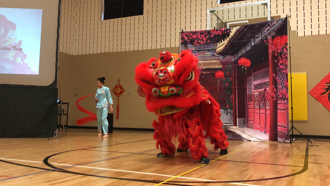 Enter the year of the Tiger