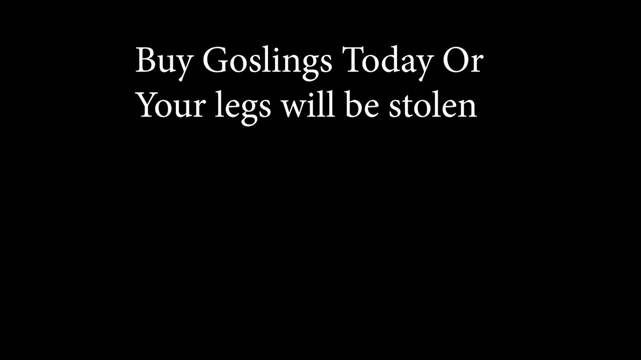 BBQ and Goslings