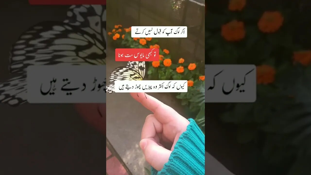 urdu sad poetry#shorts #status