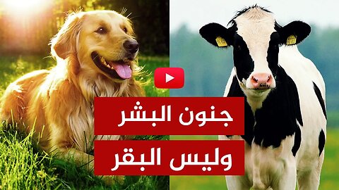 جنون البشر🔴 خطة القضاء على البقر وتحويل البشر إلى حيوانات نباتية!