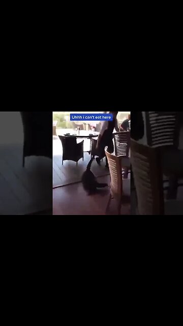 Cum sa tratezi un "client" nepoftit