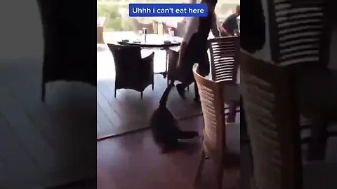 Cum sa tratezi un "client" nepoftit