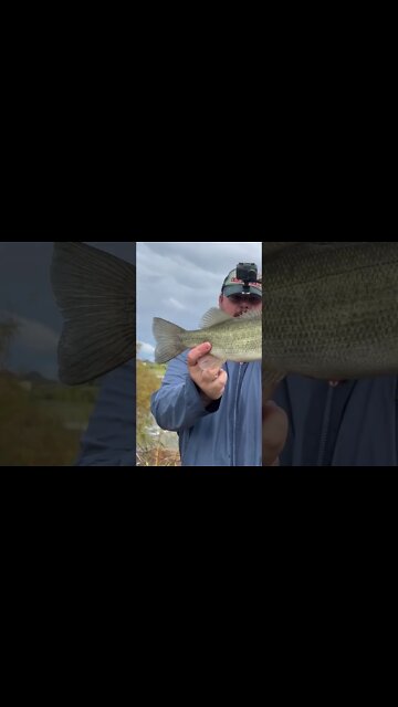 Fishing a Dangerous Flood