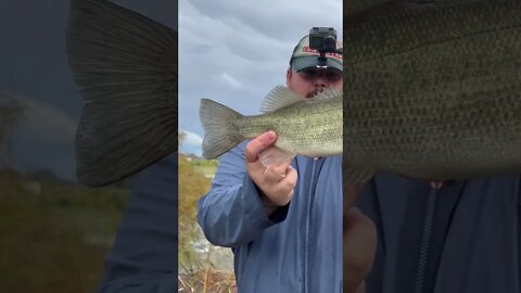 Fishing a Dangerous Flood