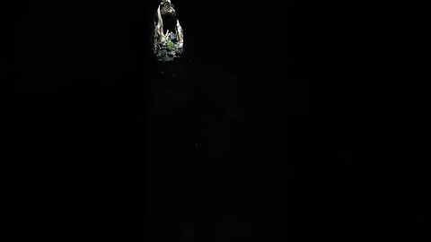 Rangitoto Island lava cave