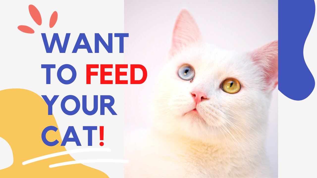 Want To FEED Your CAT!