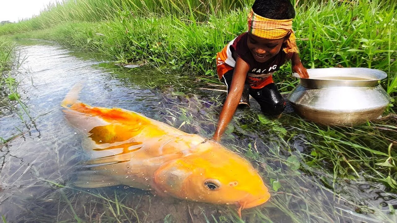 Amazing Boy Catching Fish By Hand | Traditional Little Catching Big Fish By Hand in Mud Water