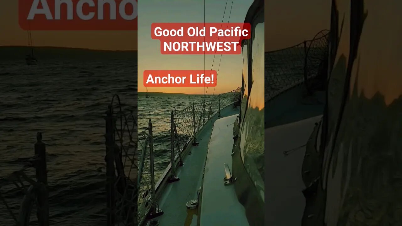 Back On Anchor Heading North! #sailboat #sailboatlife #windstorm #valhalla #shorts