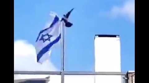 Even The Birds Know - Israel