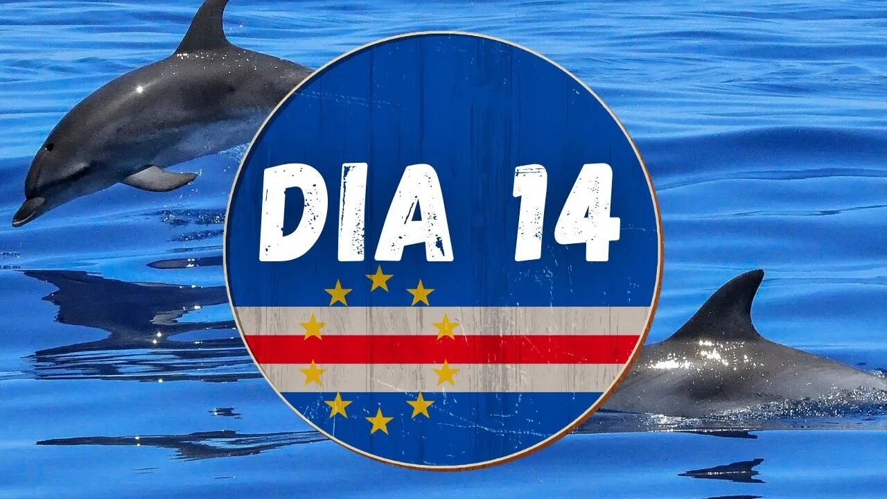 DIA 14