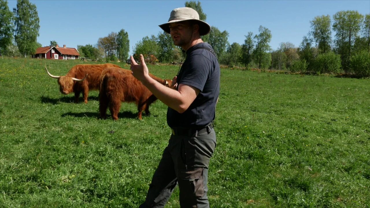 Double your pasture's production doing this