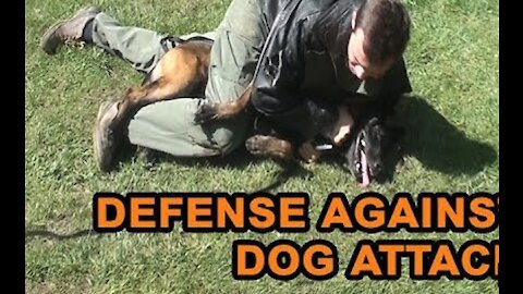 self defence against vicious dog attack