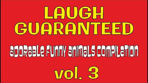 LAUGH GUARANTEED Adorable Funny Animals Compilation volume 3