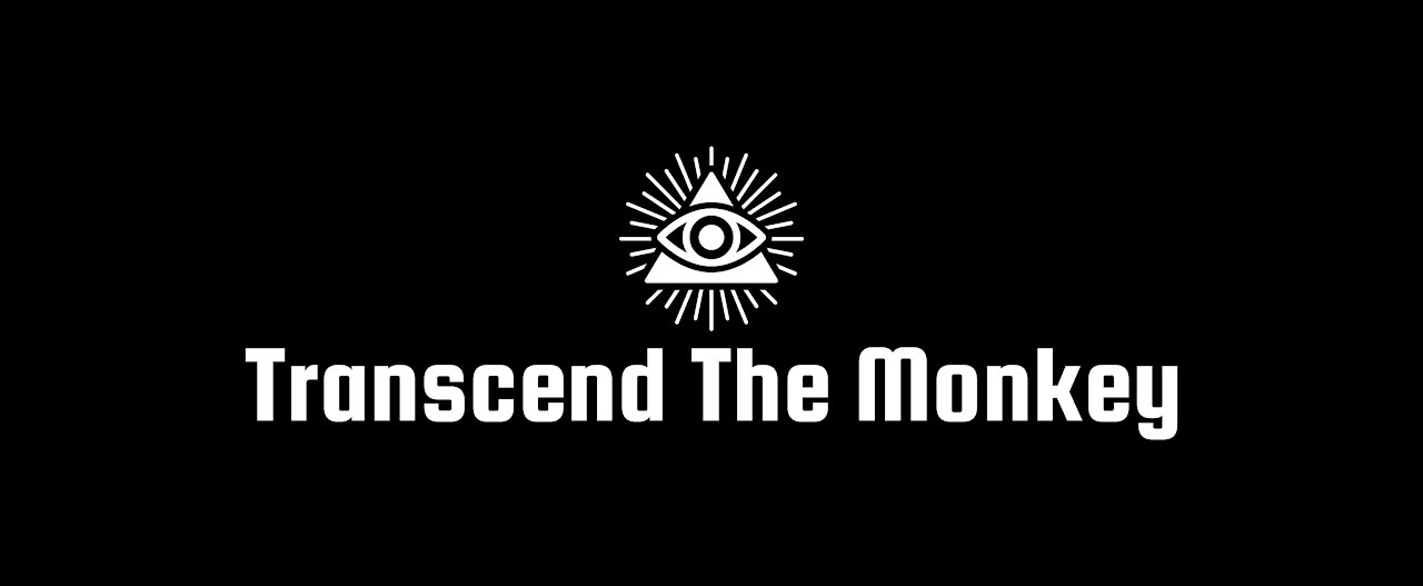 Psychedelics and the mysterious nature of reality TTM #2 PART 2