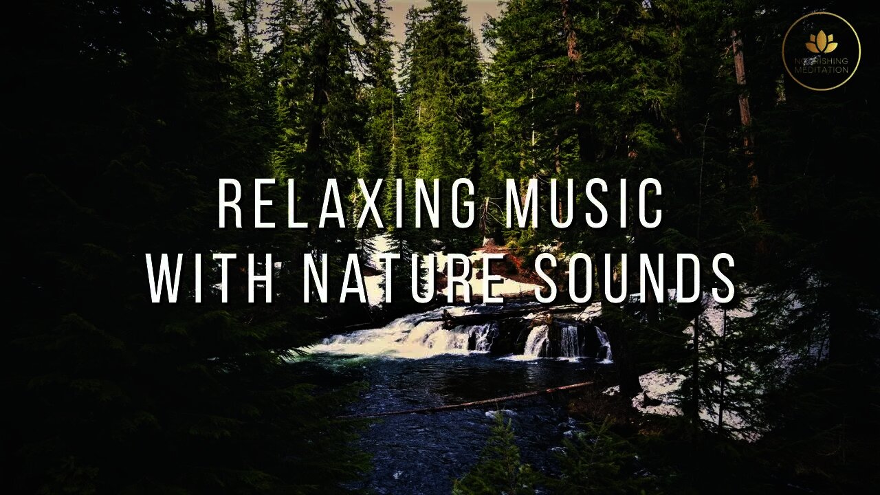 Relaxing Music with Nature Sounds • Forest Music, Sleep Music, Meditation Music, Waterfall